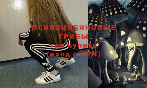 эйфоретик Нязепетровск