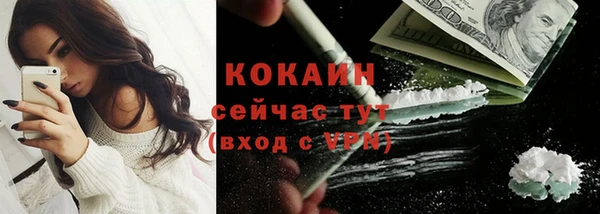 твердый Новодвинск