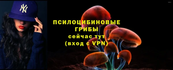 эйфоретик Нязепетровск