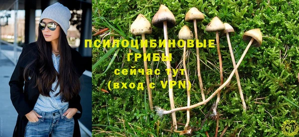 соль курить ск Няндома