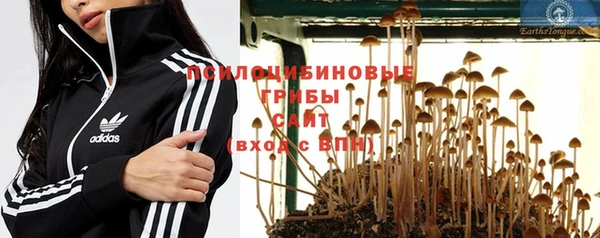 амф Новозыбков