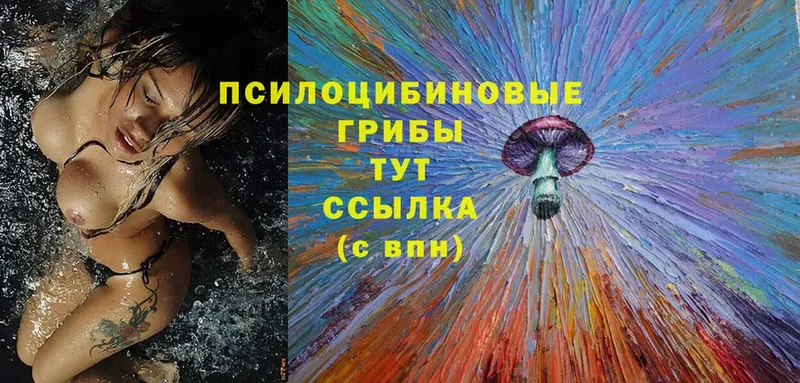 blacksprut как зайти  Алупка  Галлюциногенные грибы Psilocybe  наркотики 